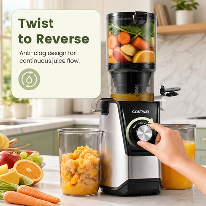 Cold Press Juicer Machine, Self-Feeding Juicer