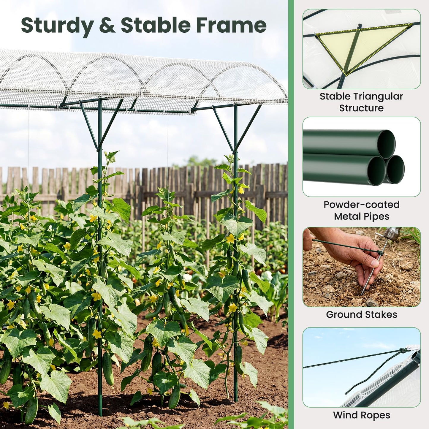 Outdoor Metal Tomato Stand, 246cm Climbing Vegetables Fruits Flowers Shelter