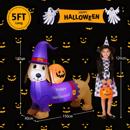 Long Halloween Inflatable Dachshund Dog with Pumpkin