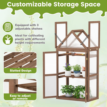 Cold Frame Mini Wooden Greenhouse with Transparent Openable Roof