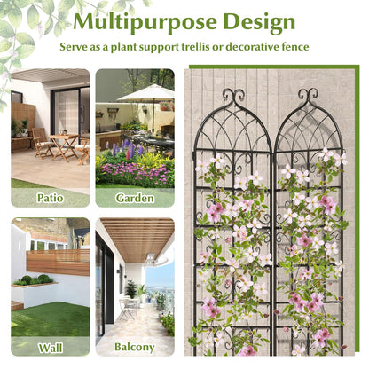 Metal Trellis for Climbing Plants Rose Vines Tomato