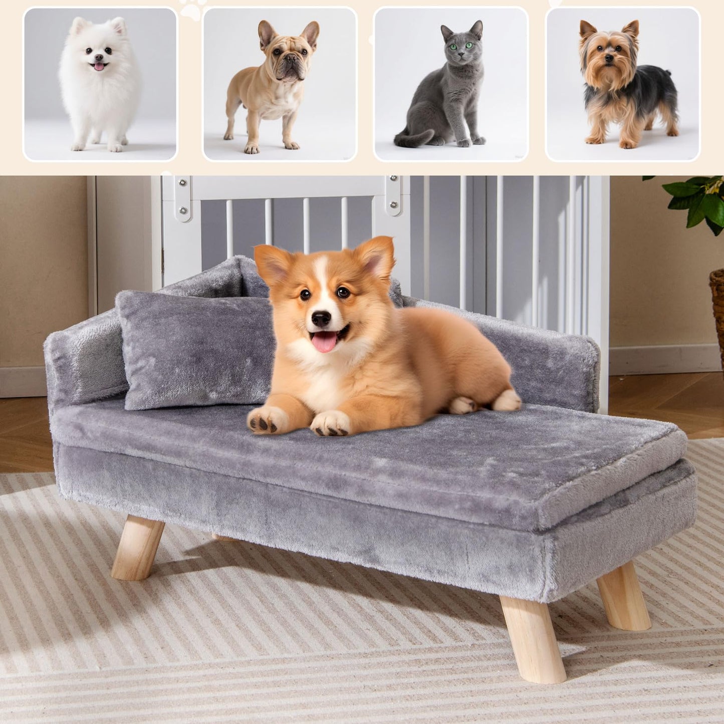 Elevated Pet Bed for Medium and Small Dogs Puppies Cats Kittens