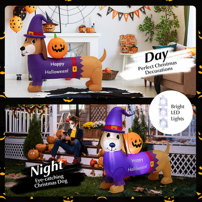 Long Halloween Inflatable Dachshund Dog with Pumpkin