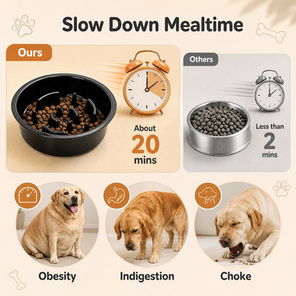 Raised Dog Bowls with Slow Feeder and 4-Level Adjustable Stand