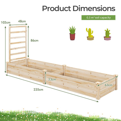 Raised Garden Bed with Planter Box and Trellis