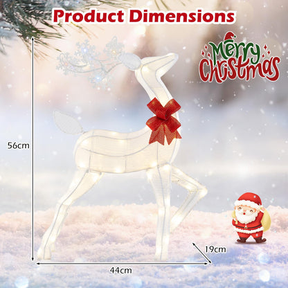 Christmas Lighted Reindeer with 48 Warm White LED Lights
