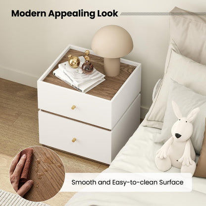 2-Drawer Modern Bedside Table with Storage Compact Floor Night Table