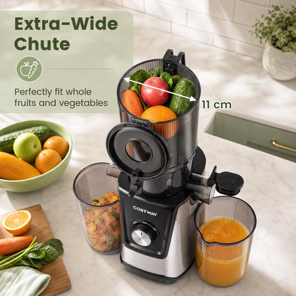 Cold Press Juicer Machine, Self-Feeding Juicer