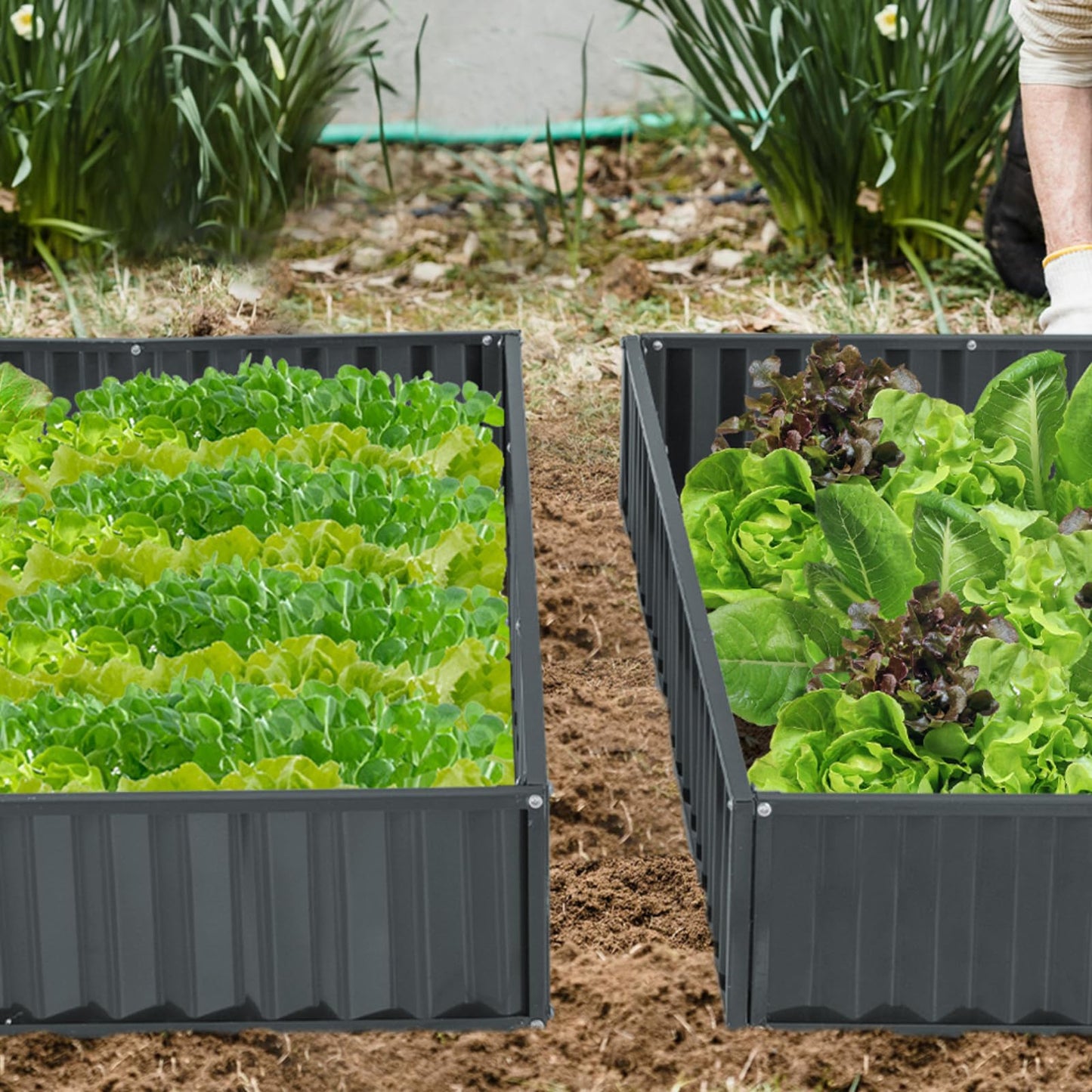 3-Tier Raised Garden Bed with Open ended Base for Vegetable Fruit Flower Herb