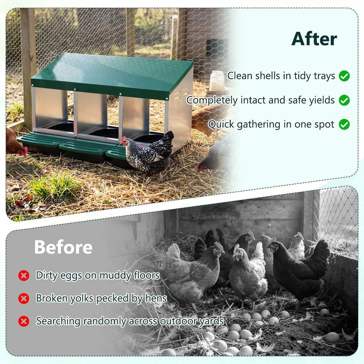 3-Compartment Roll Away Chicken Nesting Box for Hens