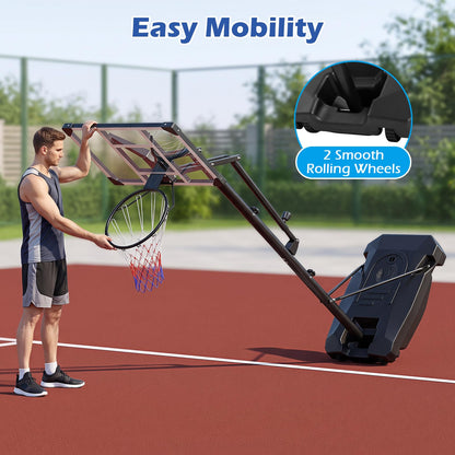 10FT Basketball Hoop and Stand for Kids and Adult