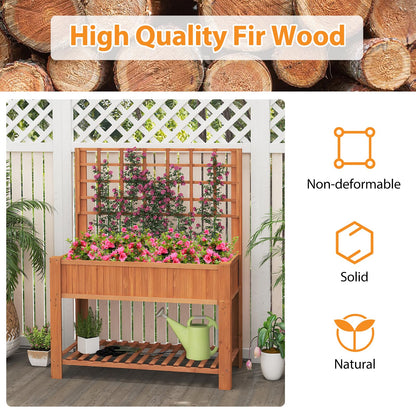 2 Tier Raised Garden Bed with Trellis for Climbing Plants Vines Fruit