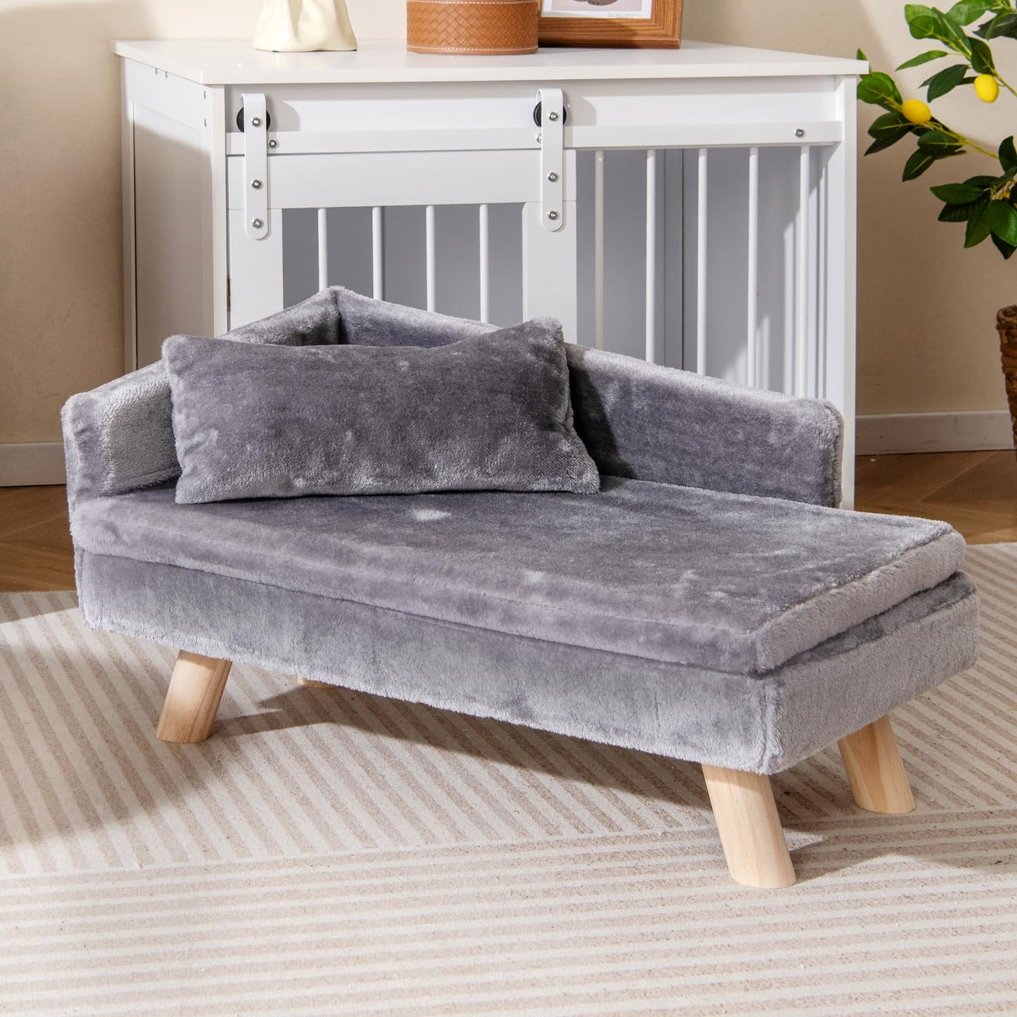 Elevated Pet Bed for Medium and Small Dogs Puppies Cats Kittens