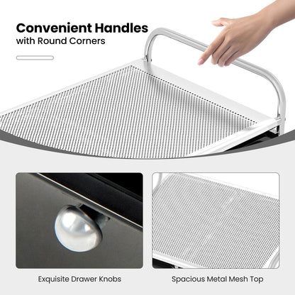 Storage Cart with 2-Size Drawer Rolling Cart Large Countertop Side Handles