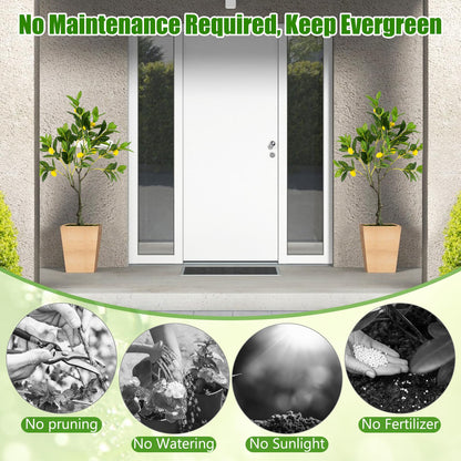 Fake Lemon Plant with Lemon Fruits and Cement Pot