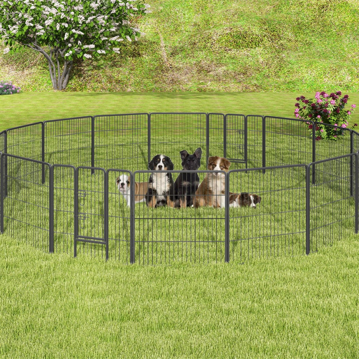 16 Panel 80cm Height Pen Fence with Lock and Large Door