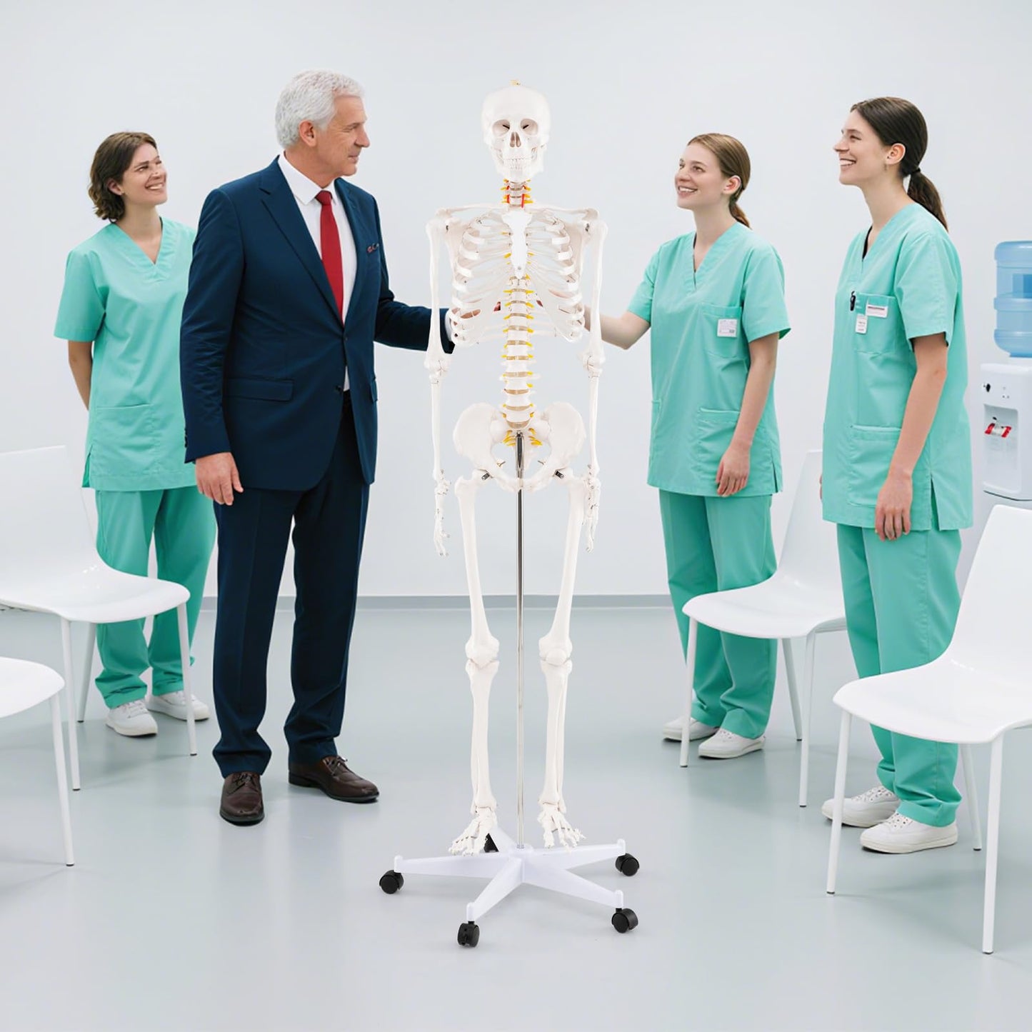 180cm Life Size Human Skeleton Model with Rolling Stand