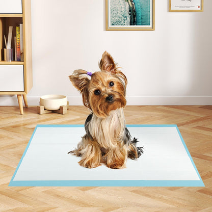 Dog and Puppy Pee Pads 60 x 43 cm(300 Counts) 6-Layer Leak-Proof Pet Pads