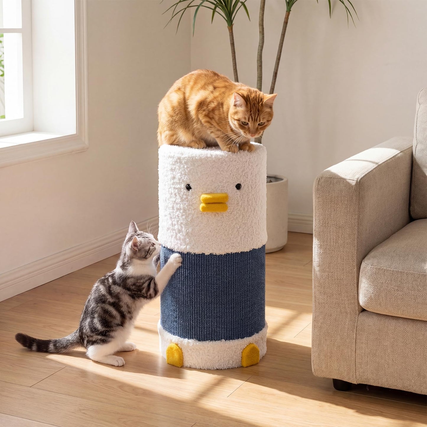 Cat House for Indoor Cats, Cat Hideaway Cave