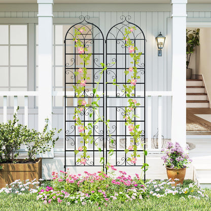 Metal Trellis for Climbing Plants Rose Vines Tomato