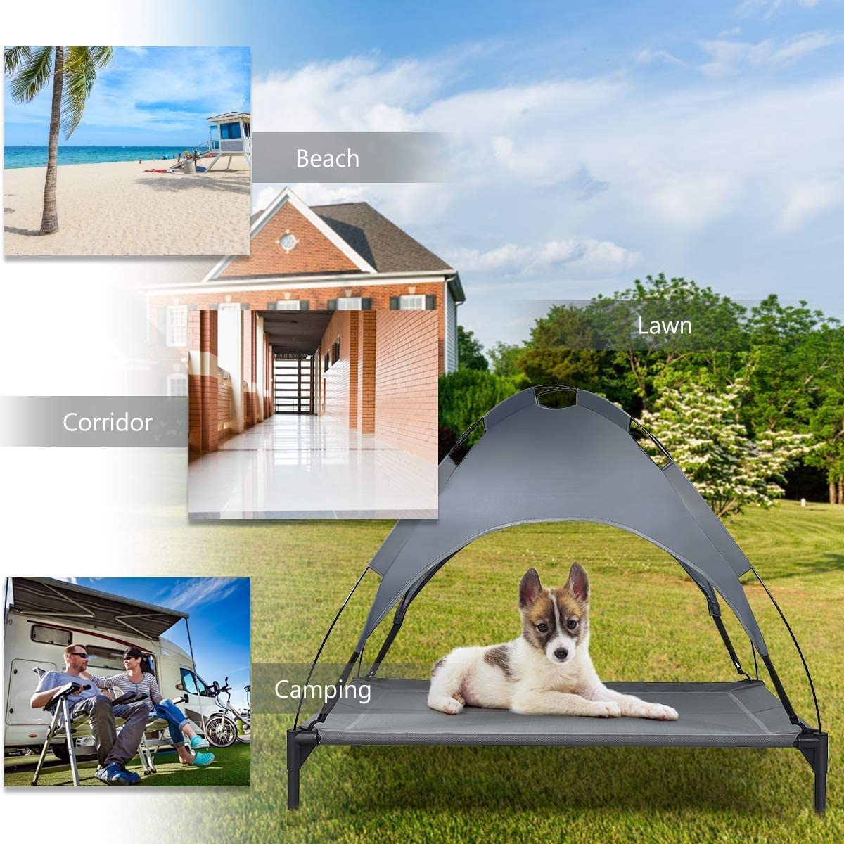 Steel Frame Elevated Pet Cot with Removable Canopy