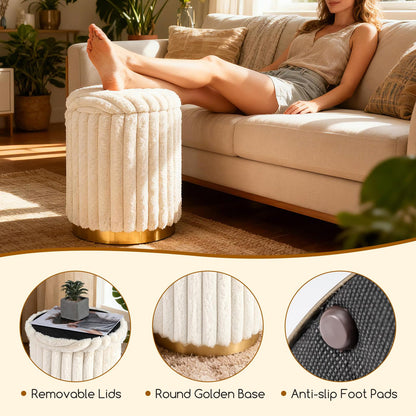 Modern Ottoman Set of 2 with Detachable Lids and Hidden Storage Space