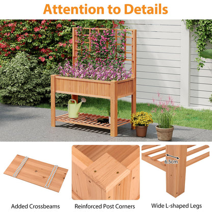 2 Tier Raised Garden Bed with Trellis for Climbing Plants Vines Fruit