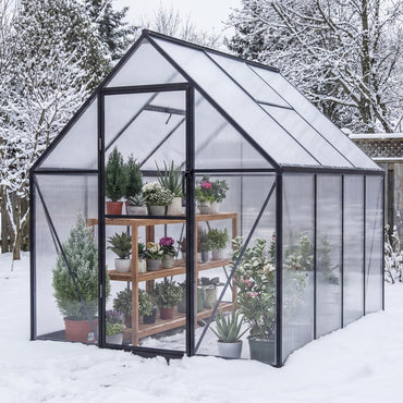 Polycarbonate Greenhouse Large Walk-in Aluminum Sunroom