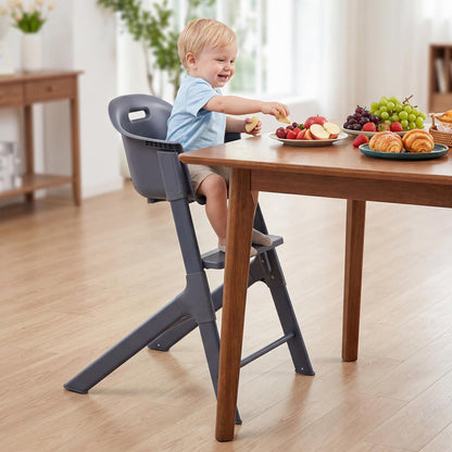 Baby High Chair, 3-in-1 Toddler Highchair with Adjustable Tray