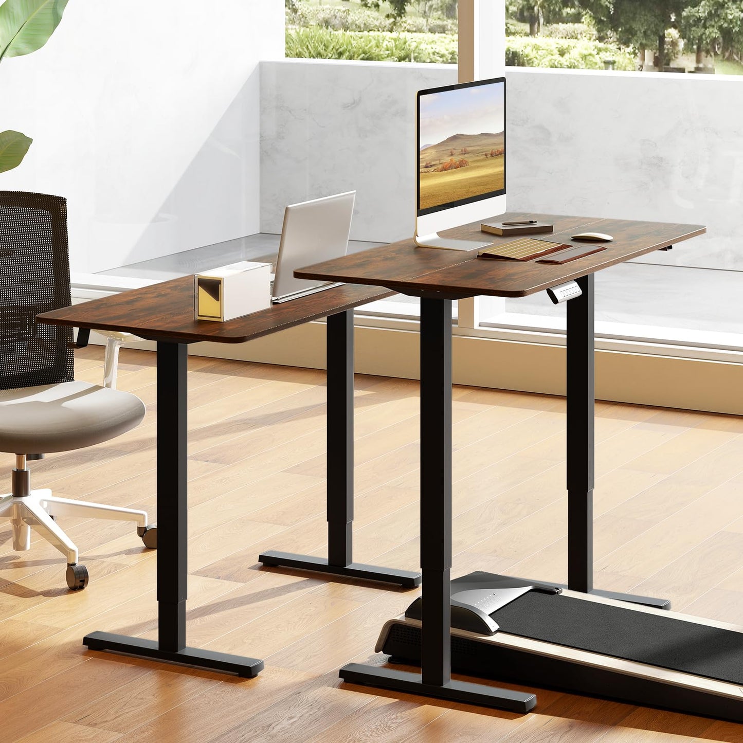 Electric Height Adjustable Standing Desk, 120 x 60cm Sit Stand Desk