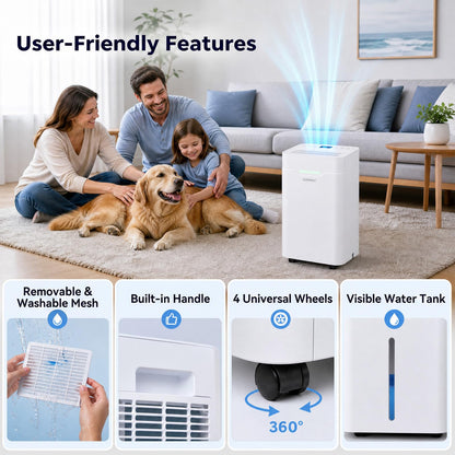12.5L/Day Dehumidifier, Automatic Humidity Sensor & Display