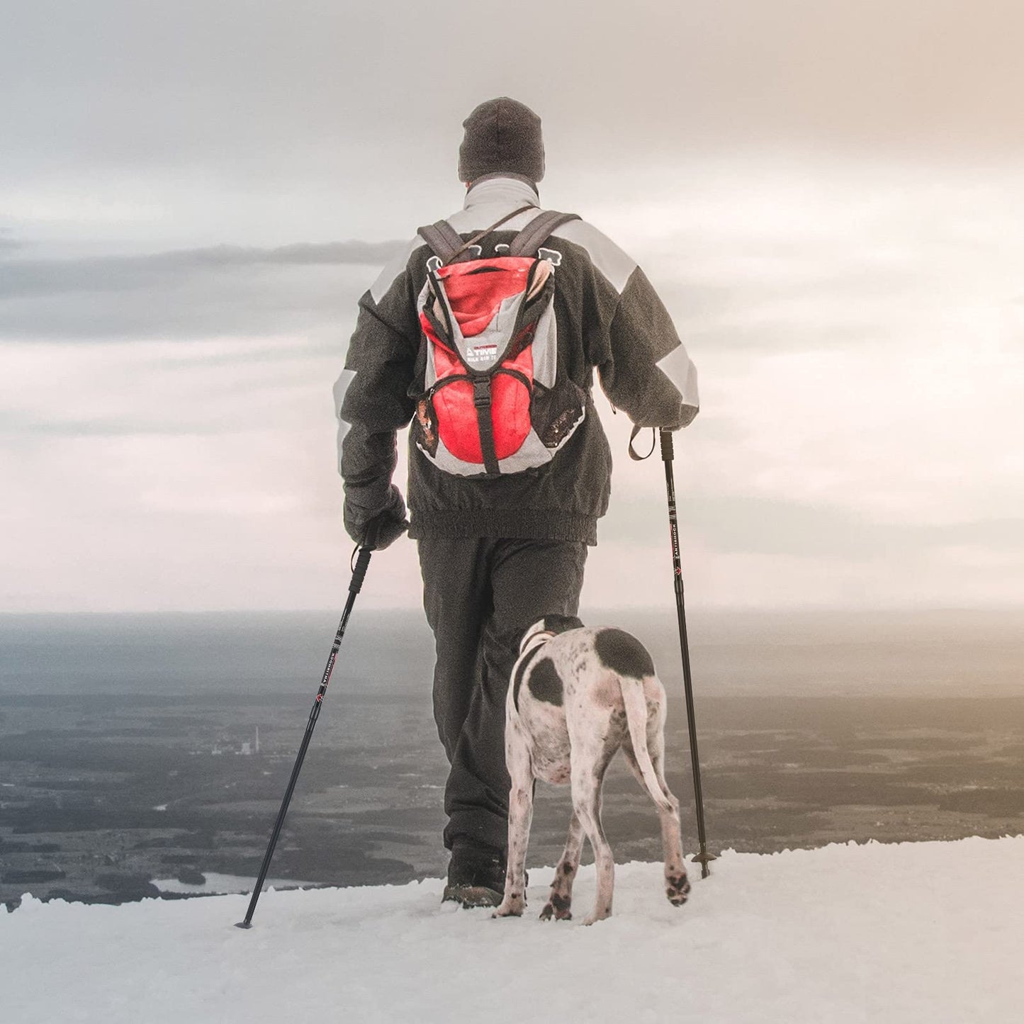 Hiking Pole Aluminum Trekking Pole Walking Pole Adjustable 65-135 cm