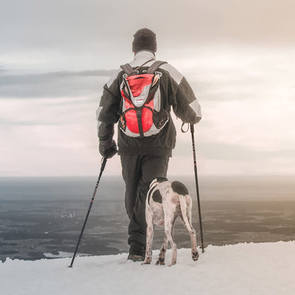 Hiking Pole Aluminum Trekking Pole Walking Pole Adjustable 65-135 cm