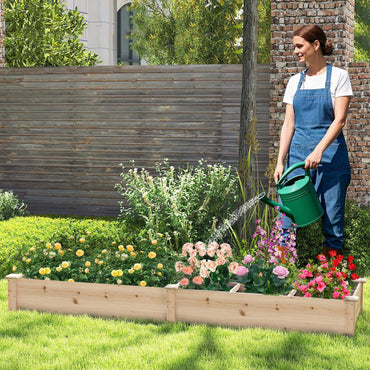Wooden Raised Garden Bed with 2 Planter Boxes and Dividers
