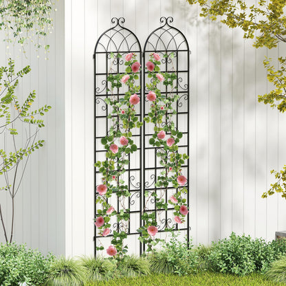 Metal Trellis for Climbing Plants Rose Vines Tomato