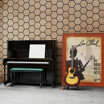 4 Pack Acoustic Panels for Walls 81 x 66 cm Sound Absorbing Panel