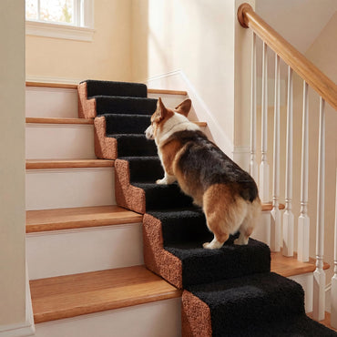 Dog Ladder with Removable Cover and Non-Slip Bottom