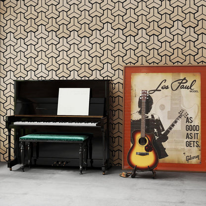 4 Pack Acoustic Panels for Walls 83 x 65 cm Sound Absorbing Panel