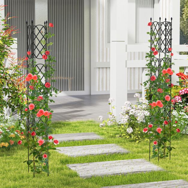 Outdoor Plant Support Frame with Adjustable Shapes and Ground Stakes