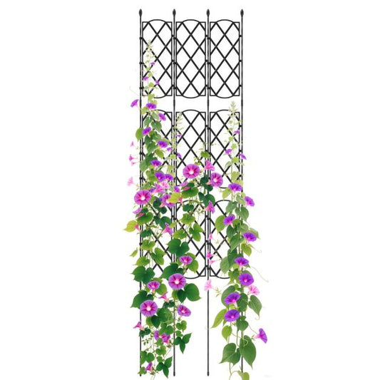 Outdoor Plant Support Frame with Adjustable Shapes and Ground Stakes